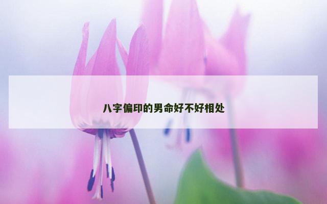 八字偏印的男命好不好相处