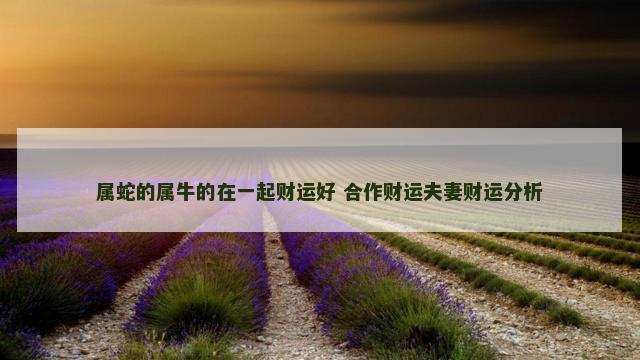 属蛇的属牛的在一起财运好 合作财运夫妻财运分析