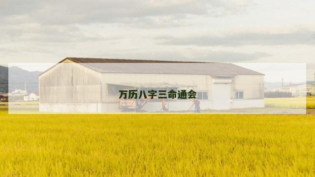 万历八字三命通会