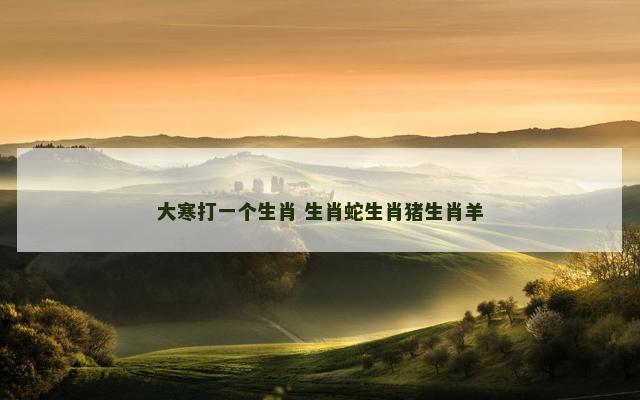 大寒打一个生肖 生肖蛇生肖猪生肖羊