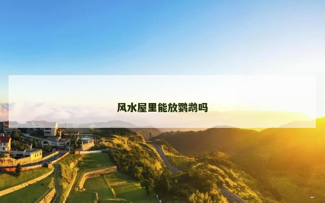 风水屋里能放鹦鹉吗