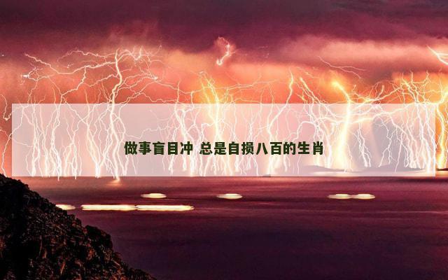 做事盲目冲 总是自损八百的生肖
