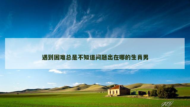 遇到困难总是不知道问题出在哪的生肖男