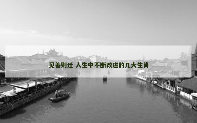 见善则迁 人生中不断改进的几大生肖