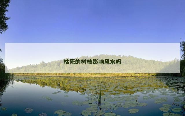 枯死的树枝影响风水吗