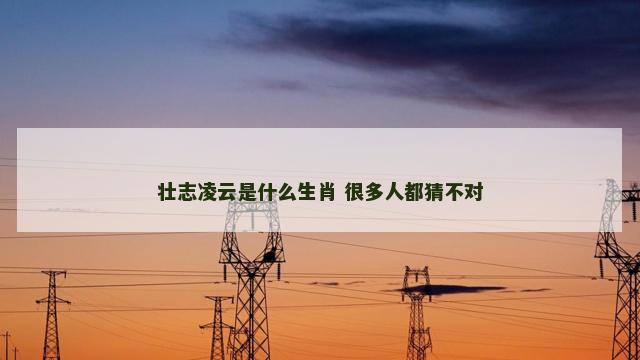壮志凌云是什么生肖 很多人都猜不对