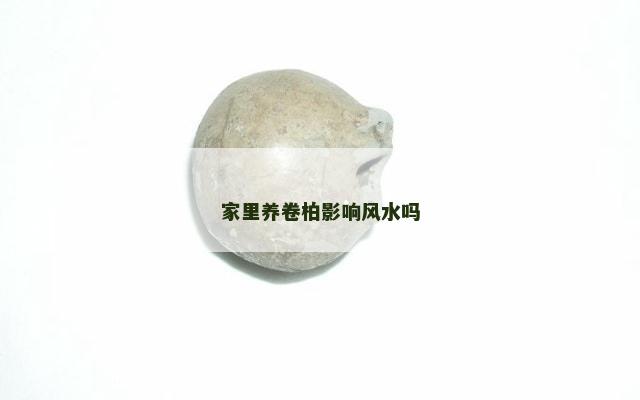 家里养卷柏影响风水吗