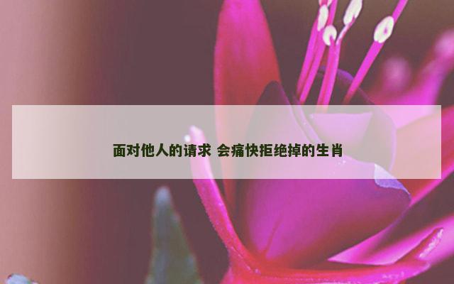 面对他人的请求 会痛快拒绝掉的生肖