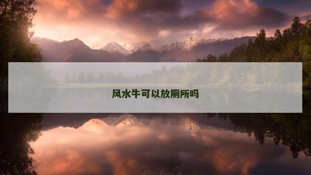 风水牛可以放厕所吗