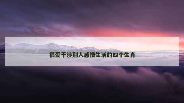 很爱干涉别人感情生活的四个生肖