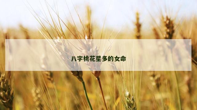 八字桃花星多的女命