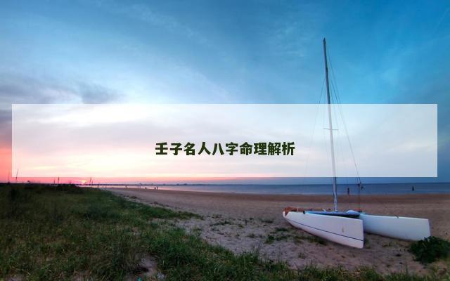 壬子名人八字命理解析