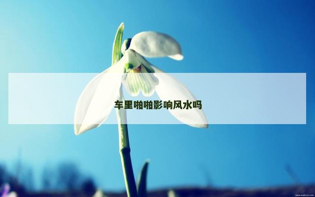 车里啪啪影响风水吗