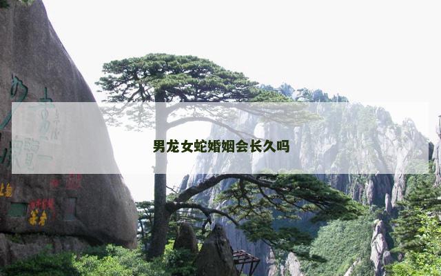 男龙女蛇婚姻会长久吗
