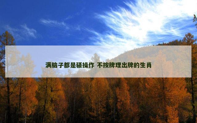满脑子都是骚操作 不按牌理出牌的生肖