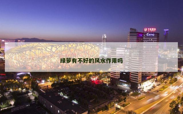 绿萝有不好的风水作用吗