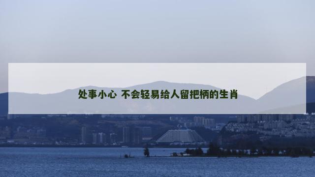 处事小心 不会轻易给人留把柄的生肖