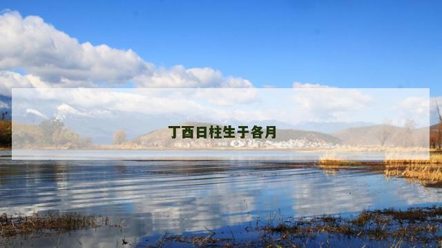 丁酉日柱生于各月