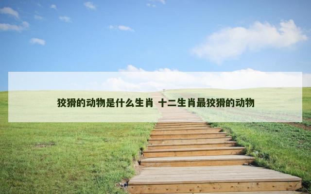 狡猾的动物是什么生肖 十二生肖最狡猾的动物