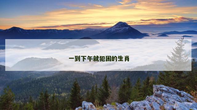 一到下午就犯困的生肖