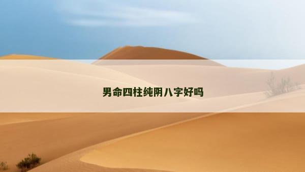男命四柱纯阴八字好吗