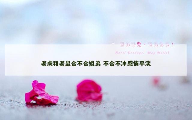 老虎和老鼠合不合姐弟 不合不冲感情平淡