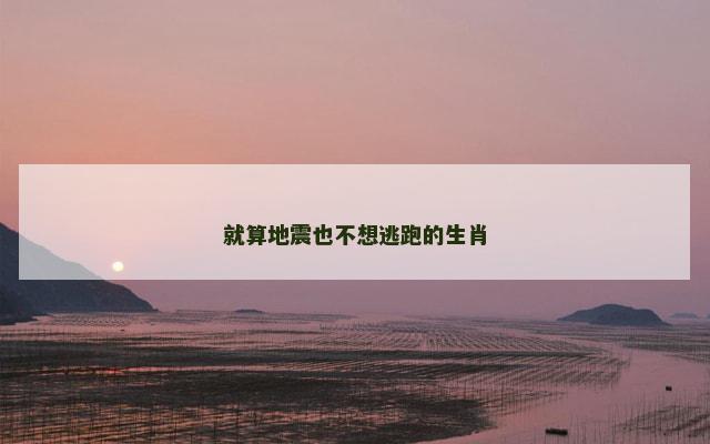就算地震也不想逃跑的生肖