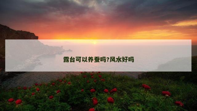 露台可以养蚕吗?风水好吗