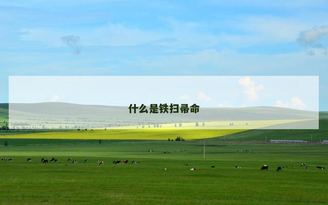 什么是铁扫帚命