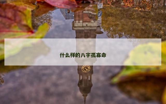 什么样的八字孤寡命