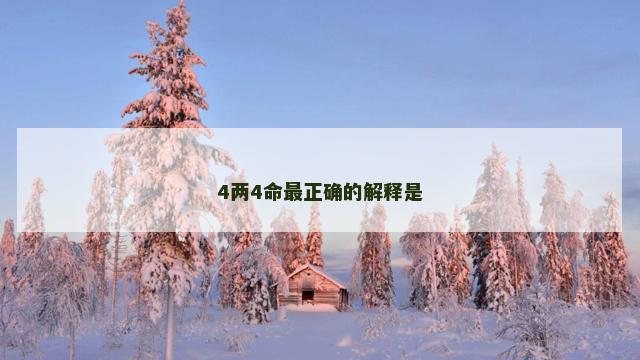 4两4命最正确的解释是