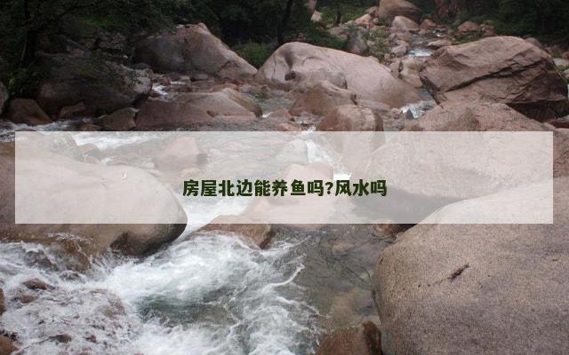 房屋北边能养鱼吗?风水吗