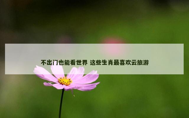 不出门也能看世界 这些生肖最喜欢云旅游