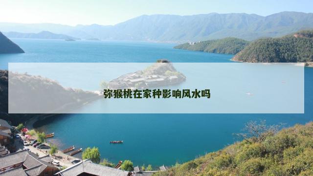 弥猴桃在家种影响风水吗