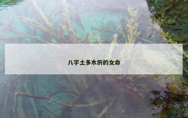 八字土多木折的女命