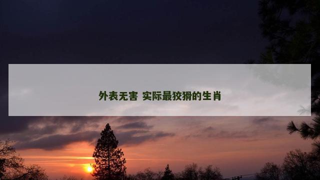 外表无害 实际最狡猾的生肖