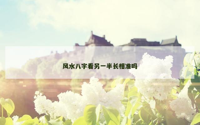 风水八字看另一半长相准吗