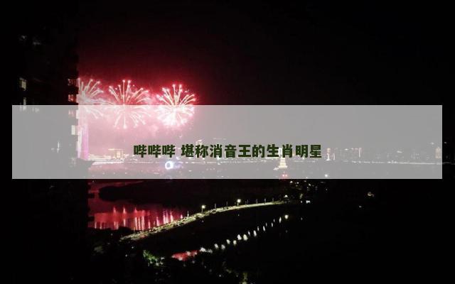 哔哔哔 堪称消音王的生肖明星