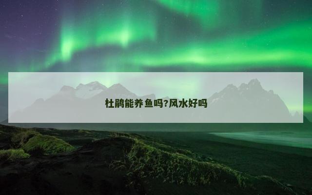 杜鹃能养鱼吗?风水好吗