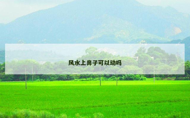 风水上鼻子可以动吗