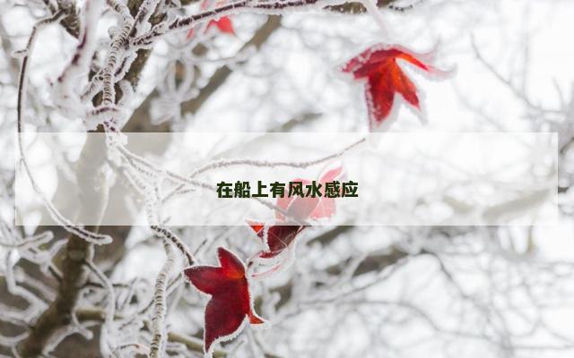 在船上有风水感应
