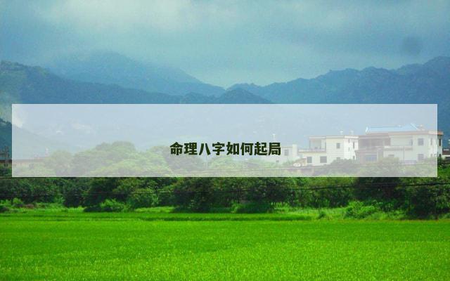 命理八字如何起局