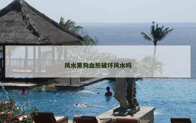 风水黑狗血熊破坏风水吗