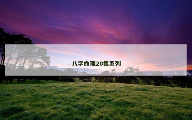 八字命理20集系列