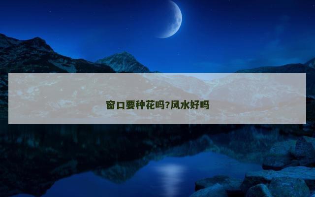 窗口要种花吗?风水好吗