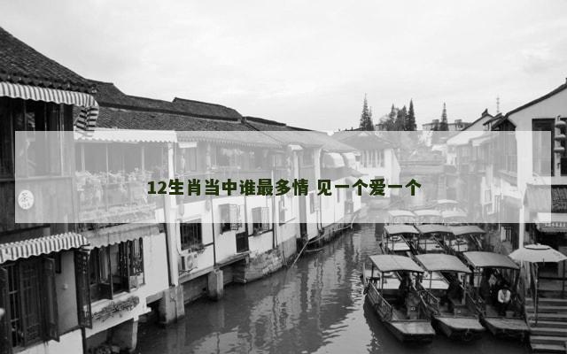12生肖当中谁最多情 见一个爱一个