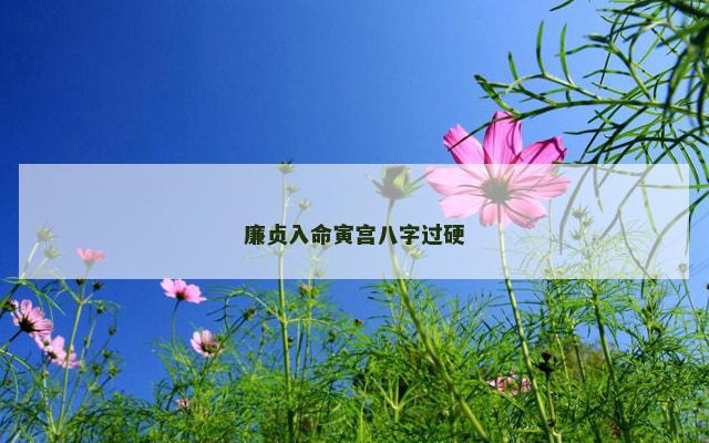 廉贞入命寅宫八字过硬