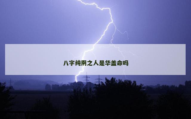 八字纯阴之人是华盖命吗