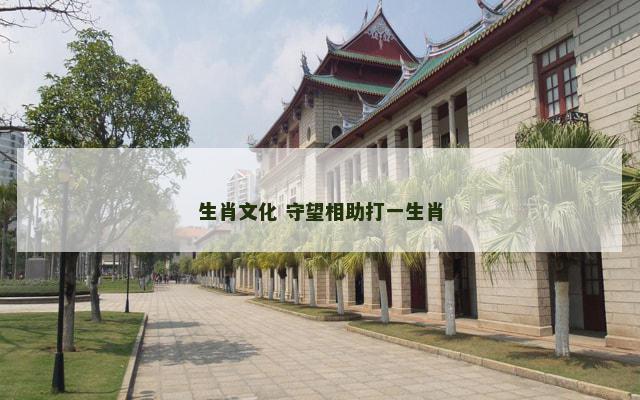 生肖文化 守望相助打一生肖