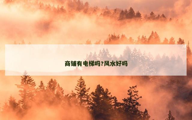 商铺有电梯吗?风水好吗